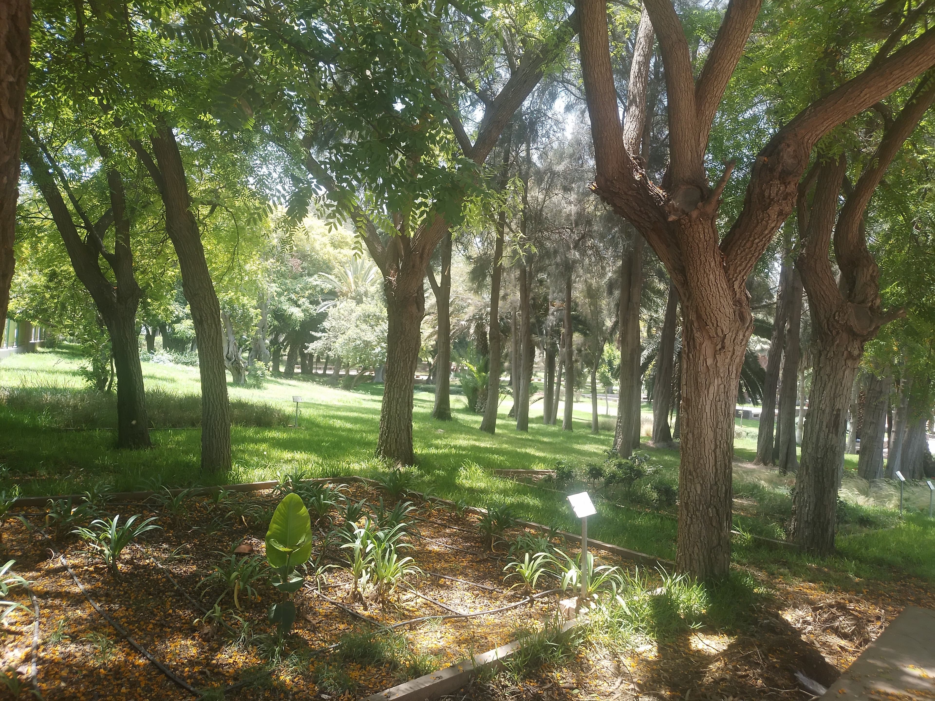 Parc - Jardin Ibn Zaidoun حديقة ابن زيدون